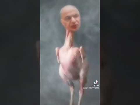 گفتاری نجیب بروت کلت گیر بکس خر واری