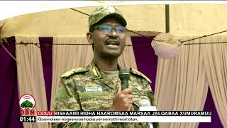 Jeneeraal Birhaanuu Julaa