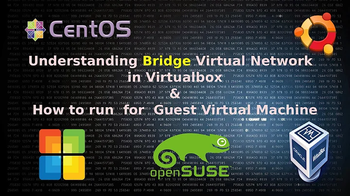 Understanding Bridge Virtual Network and how to run for Guest Virtual Machine