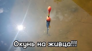 НАКОНЕЦ-ТО МЫ НА РЫБАЛКЕ!!!! ЛОВЛЯ ОКУНЯ НА ЖИВЦА!