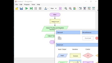Positive and Negative Number Checker in Flowgorithm