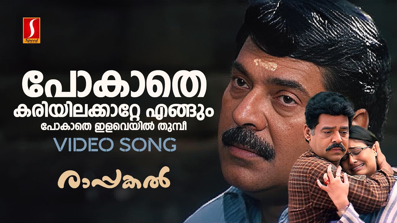 Pokathe Kariyila Katte Video Song  Rappakal  Mammootty  Afsal  Mohan Sithara  Kaithapram