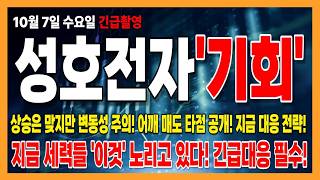 [성호전자 주가전망] 난리났습니다! 성호전자 긴급 대응 전략 무조건 보세요!!