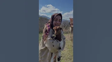 فاطمه عطایی امیری 