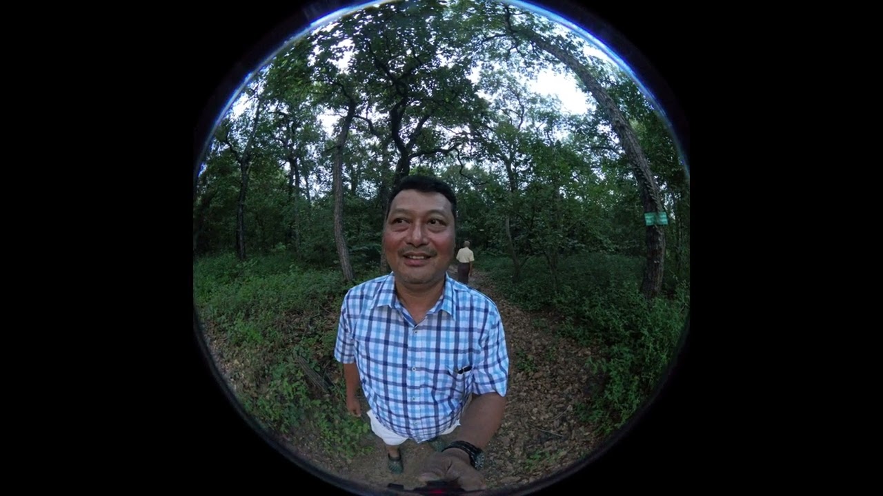 900 Years Old Tamarind Tree and Sal Forest (21-2-2025)