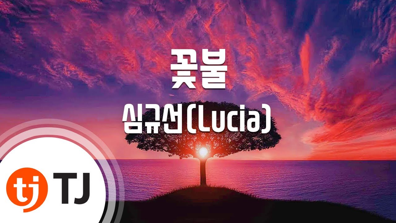 [TJ노래방] 꽃불(화산귀환OST) - 심규선(Lucia) / TJ Karaoke