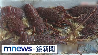 關係和緩轉圜 澳洲煤炭、龍蝦或重回中國市場|#鏡新聞