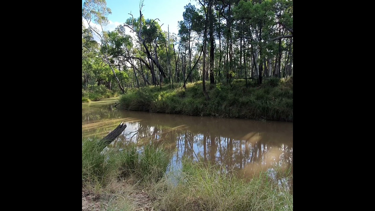 Yowie Grunting? Australian Bigfoot Sounds