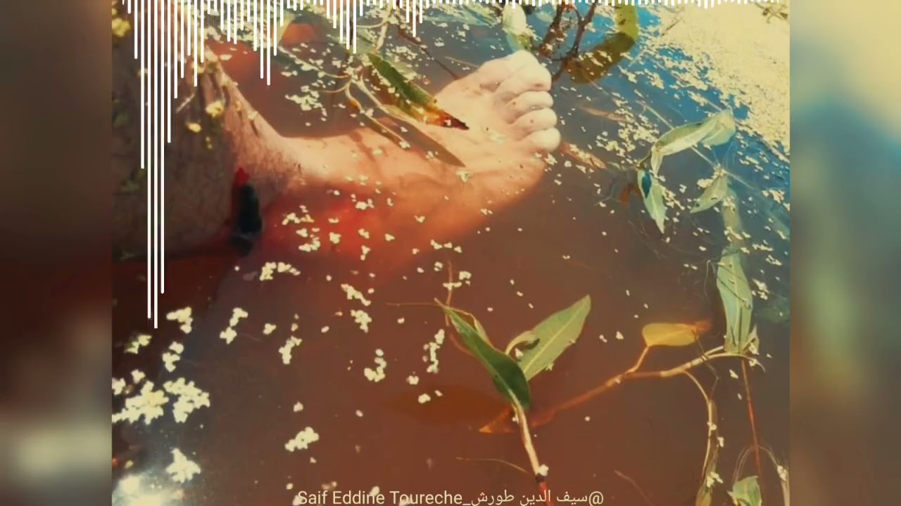 روبورتاج حول بني ولبان سكيكدة من  المتمهن  سيف الدين   طورش  وكالة الأسفار من مسابقة أحسن روبورتاج