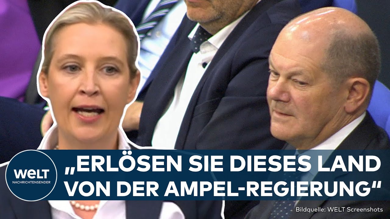 AfD-Politikerin kontert grüne Hassrede! - Gerrit Huy - AfD-Fraktion im Bundestag