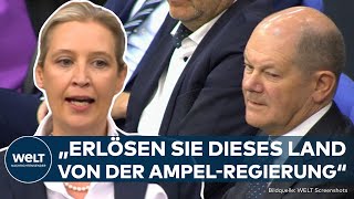 HAUSHALTSKRISE: 'Rücktrittserklärung!' AfDChefin Alice Weidel fordert Olaf Scholz zum Rücktritt auf