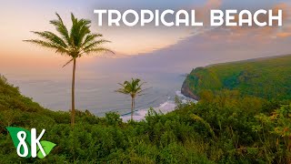 Distant Sound of Crashing Waves + Ambient Music for Relaxation - 8K Tropical Sunset Ocean View