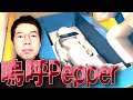 嗚呼Pepper そばにいてくれ!