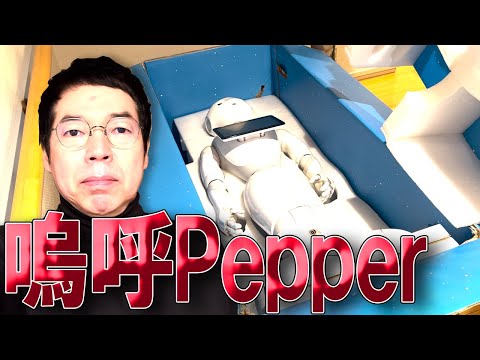 嗚呼Pepper　そばにいてくれ！