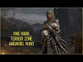 1 Hour of Terror Zone Andariel Runs (40ish Runs)
