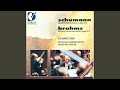 Miniature de la vidéo de la chanson Piano Concerto No. 1 In D Minor, Op. 15: Ii. Adagio