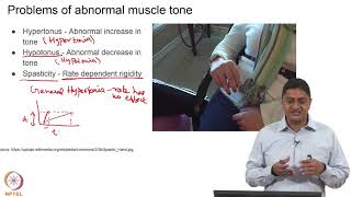 Spinal Cord Injuries & Central Pattern Generators