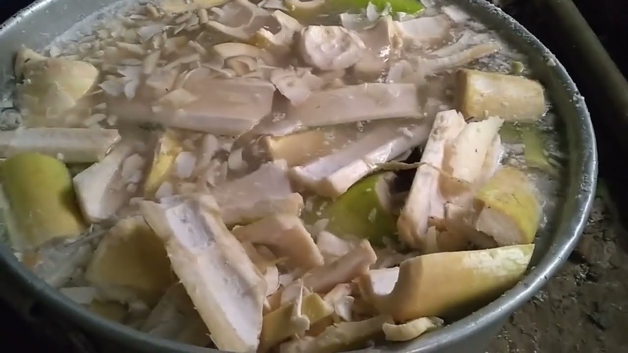 this is how we ferment the Bamboo shoots 😅//fermentation process YouTube