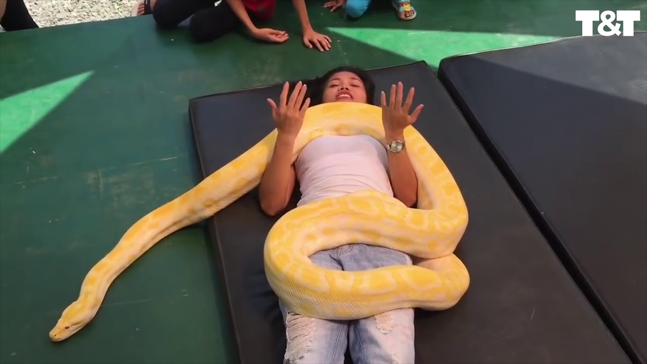Zoo Offers Snake Massages - YouTube