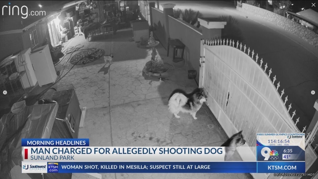Man charged with extreme animal cruelty for allegedly shooting dog in ...