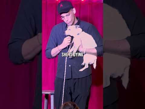 All Dogs Welcome At My Shows | Troy Bond Comedy
