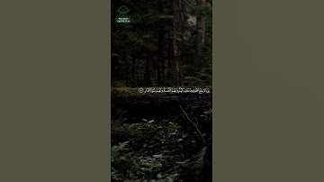 سورة غافر • مكية • بصوت ياسر الدوسري | عدد الآيات: 85 #قرآن #Quran #تلاوة #قرآن_كريم #غافر