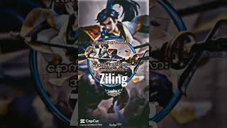 Zilong Hero Never Fade