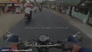 Jomblo bebas