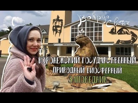 Воронежский государственный природный биосферный заповедник | Вперёд к Бобрам! | Видео экскурсия