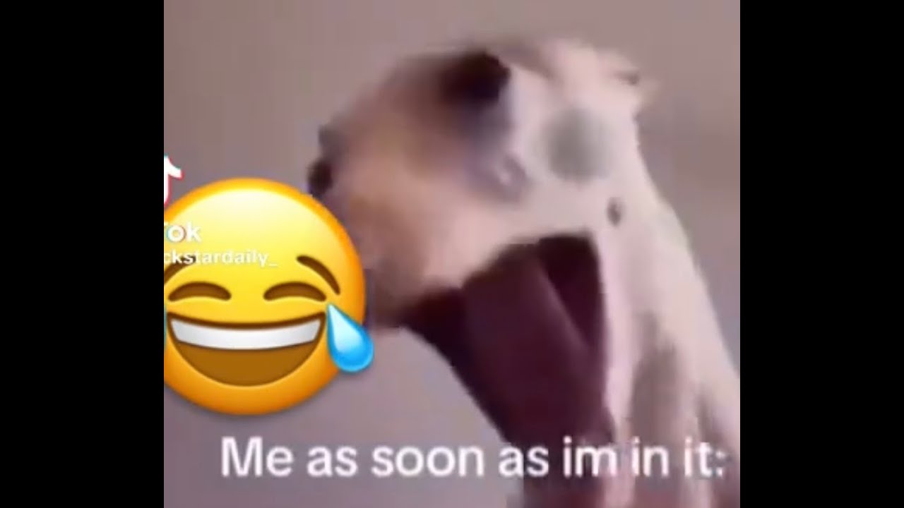 Infection player has never touched a women | Halo Reach Infection