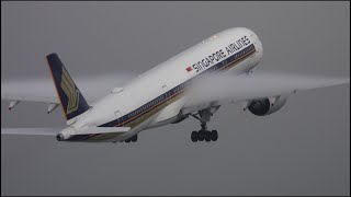 A foggy day (Oct 14th 2025) in Munich with D-AIMC / VN-A870 / ZZ343