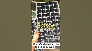 Khay bầu ươm hạt giống, cây giống siêu bền, siêu tiện lợi,giá tại xưởng không qua chung gian #shorts
