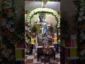 Patrón de los Parachicos y Patrón de los Floreros llevan serenata a San Sebastián|Chiapa de Corzo