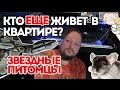 Звездные питомцы. Виктор Щежин-Бурко и его животные. В гостях Лина Вет.