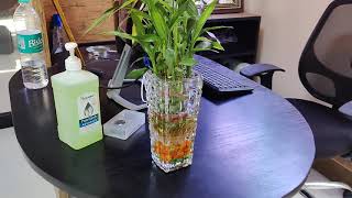 Best Glass Flower vase online | Pure Source India Glass Flower Vase (Clear, 3.5 X 8 Inch)