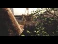 genesis chapter 33 by oopsie