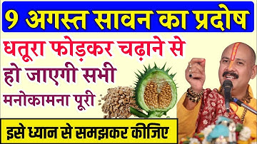 9 अगस्त मंगलवार सावन की प्रदोष | एक धतूरा फोड़ दो मनोकामना पूरी | Pradeep Mishra ji Pradosh ke upay