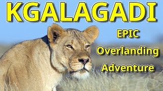 Epic Overlanding Adventure - TweeRivieren Rest Camp and the start of Epic Sightings