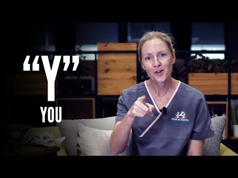 "Y" - You, the pet parent 您和您的家庭護理團隊