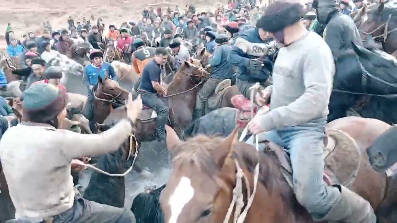 15 ноября 2025 г.