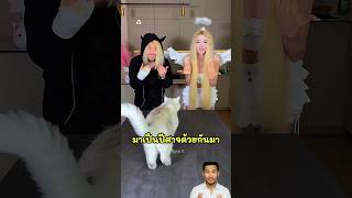 เธอหรือเขา แมวชอบใครจะเลือกไปอยู่กับคนนั้น