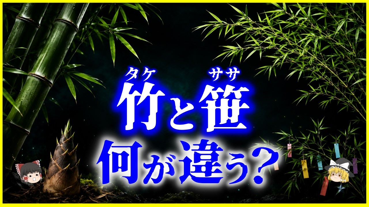 【ゆっくり解説】七夕のササは本当に笹?竹と笹、何が違う?を解説/大きさだけでは分からない本当の見分け方