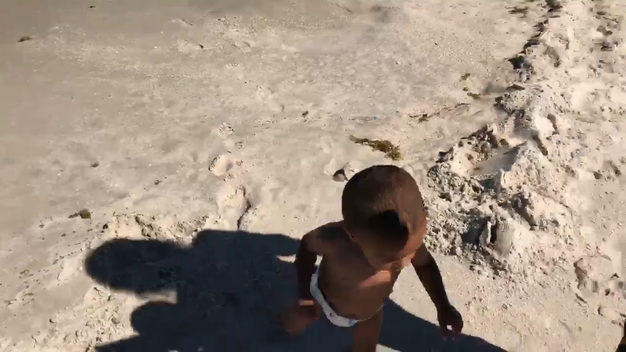 Kip and Jake Live Stream.  A walk on the beach. Swift & Knight?