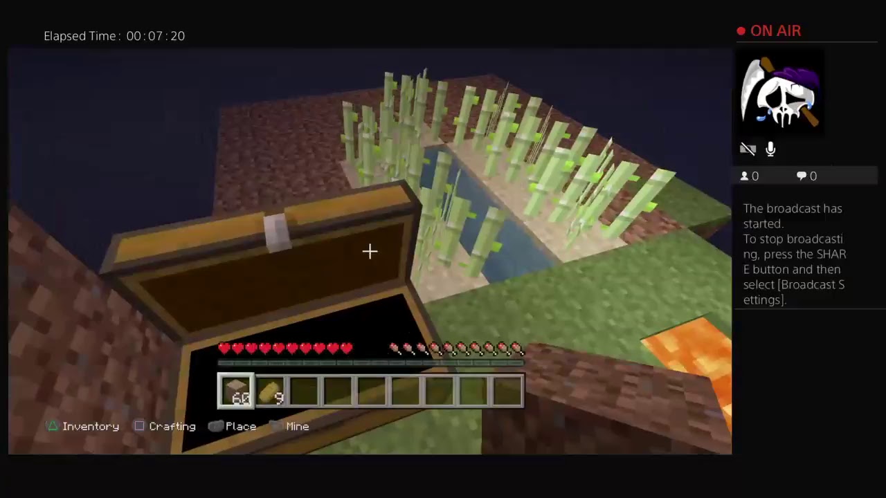 Minecraft sky islan challenge #1