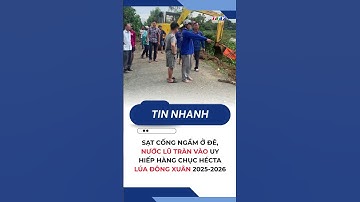 Sạt cống ngầm ở đê, nước lũ tràn vào uy hiếp hàng chục hécta lúa Đông Xuân 2025-2026