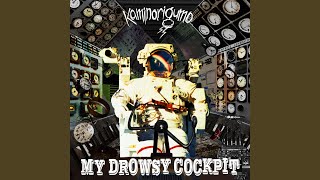 カミナリグモ - MY DROWSY COCKPIT