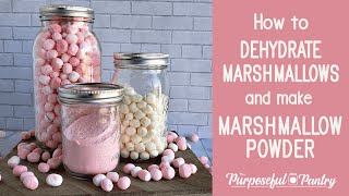 How to Dehydrate Marshmallows and Make Marshmallow Powder!