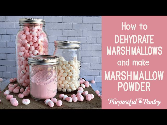 DEHYDRATING MARSHMALLOWS - Sweet Southern Blue