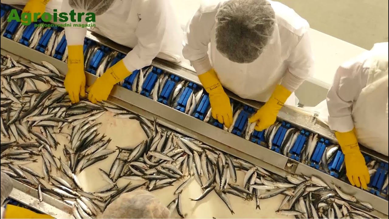 AGROISTRA Mirna Rovinj