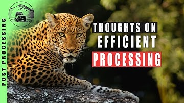 Lightroom & Photoshop Processing Workflow